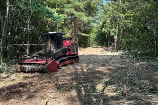 The Best Forestry Mulching Services Near Stark County—And How to Choose the Right One