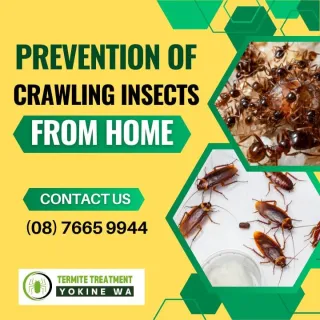 How To Keep Crawling Insects (Ants, Cockroaches) Out Of Your House