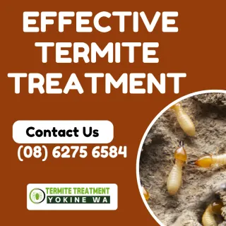 Termite Treatment Steps
