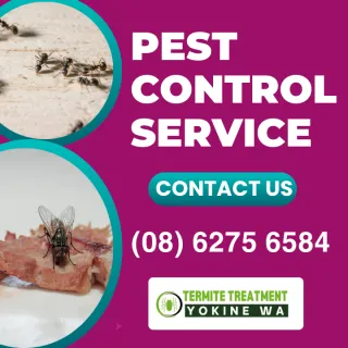 Pest Controller in Yokine
