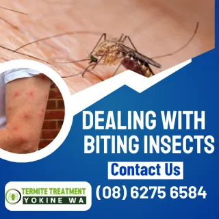 Scratching the Itch: Dealing with Biting Insects