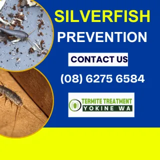 SILVERFISH PREVENTION