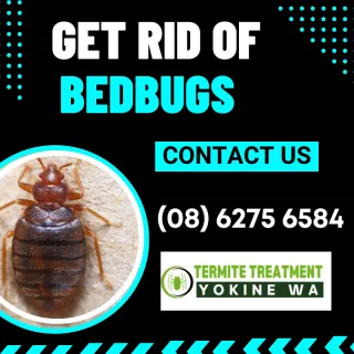 GOOD NIGHT, SLEEP TIGHT, DON’T LET THE BEDBUGS BITE!