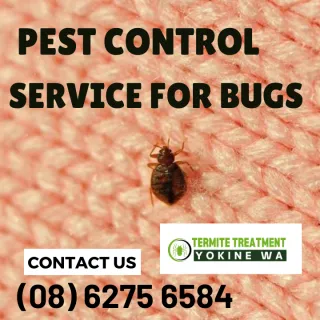 TREATING A BUG BITE NATURALLY AND EFFECTIVELY