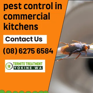 Commercial Kitchens Biggest Mistakes!