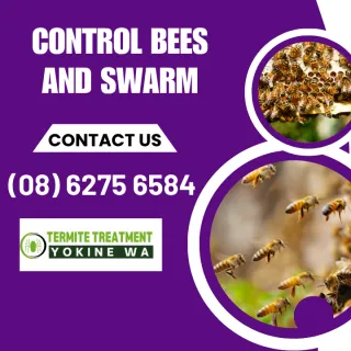 When Bees Swarm