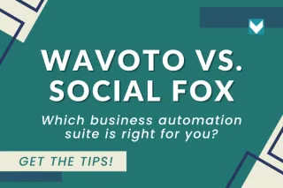 Wavoto vs Social Fox: Which business automation suite is right for you