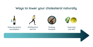 How to Reduce Your Cholesterol: A Comprehensive Guide