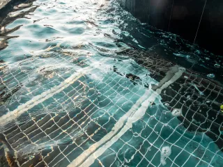 Essential Features of Pool Cleaning Services Near Me