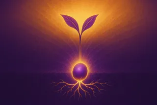 What Seeds Teach Us About Growing a Business
