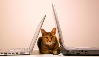 The Changing Attitudes Towards Resume Gaps: A New Perspective