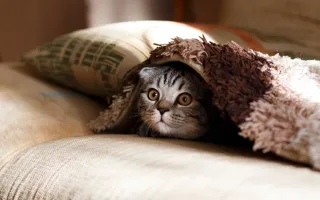 Stress Management: Tame the Pressure