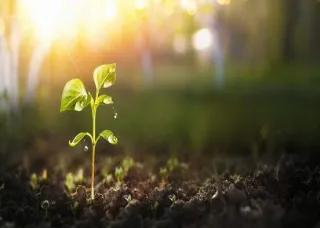 Creating a Water-Efficient Garden with Water Retention Techniques