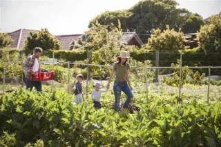 Sustainable Green Solutions for a Healthier Planet