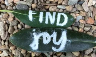 Searching for Joy