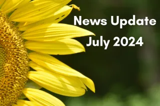 July 2024 News Update for the Massage Therapy Profession