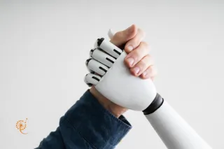 Massage Robots