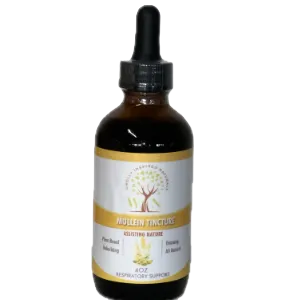 Can a damaged kidney be restored?