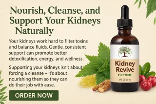 Revive Your Kidneys