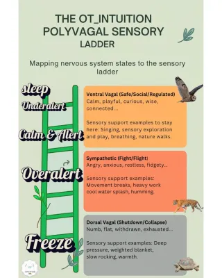 🌿🪜 Polyvagal & Sensory Ladders: Helping Children (and Parents) Find Balance
