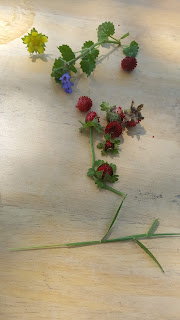 Using Massage For Self Care