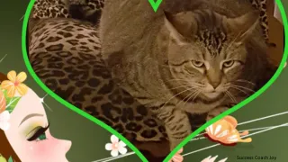 Happiness Is Contagious