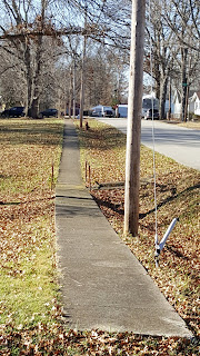 Loving Your Amazing Journey