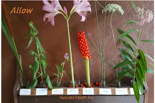 Try An "Allowing" Meditation