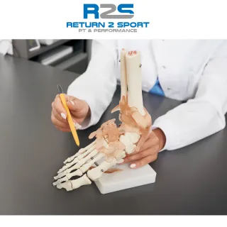 Let's Talk About the Foot