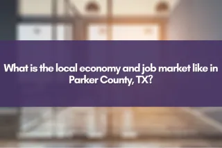 What is the local economy and job market like in Parker County, TX?
