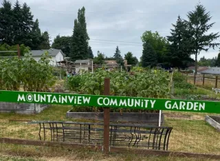 🌱 Dig Into Anchorage’s Local Flavor at Mountain View Community Garden