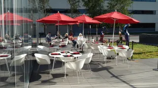 Sip, Savor, and Smile at Red Chair Café – Anchorage’s Cozy Coffee Haven