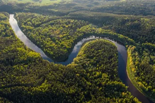 Into the Wild: Exploring the Amazon Rainforest in Brazil
