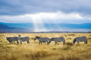Summit Dreams: Climbing Mount Kilimanjaro in Tanzania