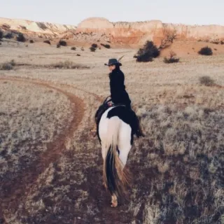 Why Saddle?