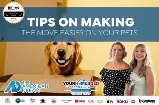 Pets and Moving