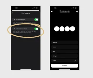 Experience AI Conversations - The New Voice Feature of ChatGPT