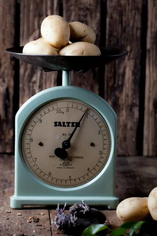 You’re Not Eating Too Much—You’re Just Burning Too Little (Metabolism & Hormones Explained)