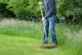 Spring Lawn Preparation: Your Step-by-Step Guide to a Lush Yard