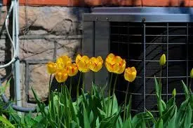 HVAC Health Check – Get Ready for Summer