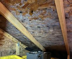 Mid-Winter Moisture Problems: Condensation, Mold, and Hidden Water Damage