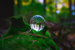 Eco-Anxiety: Understanding the Mental Health Impact of Environmental Crises