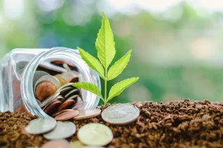 Green Credit Program – Unlocking Sustainability Incentives in Pakistan