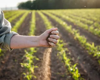Climate and Food Security: How Emissions Are Threatening What Pakistan Eats