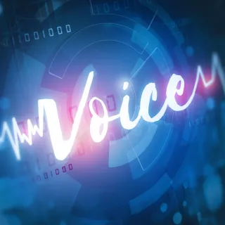 Voice Cloning for Grief Support: Talking with AI Voice Memorials