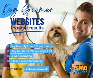 Dream of Starting a Dog Grooming Business in the UK? Here’s How to Make It Happen