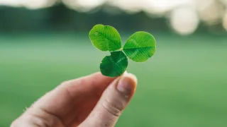 Are You Ready to Create Your Own Luck?