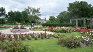 🌸 Wander Through Beauty at Boerner Botanical Gardens