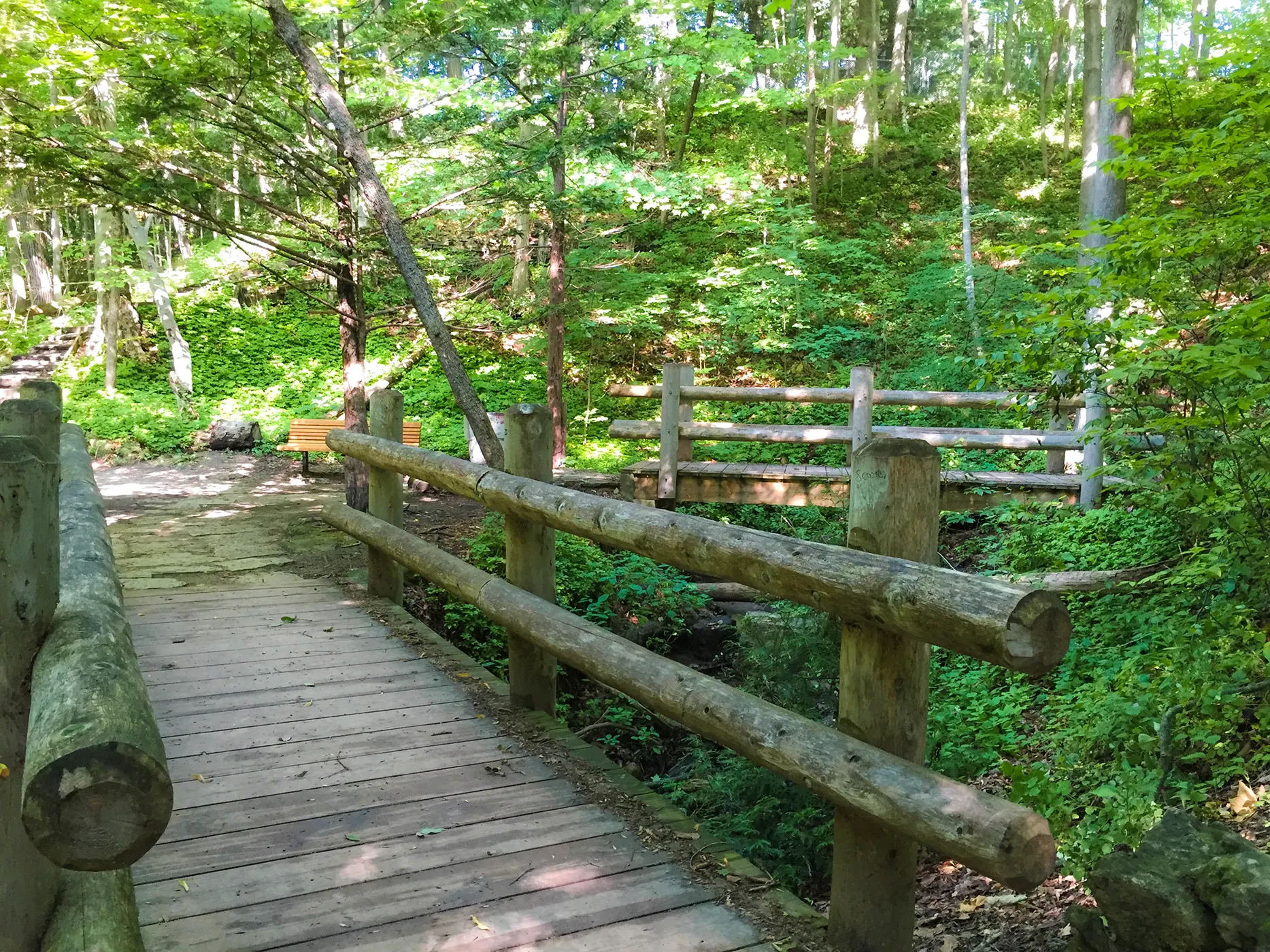 🌳 Adventure Awaits at Grant Park & Seven Bridges Trail – Milwaukee, WI