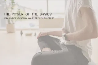 The Power of the Basics: Why Understanding Your Breath Matters